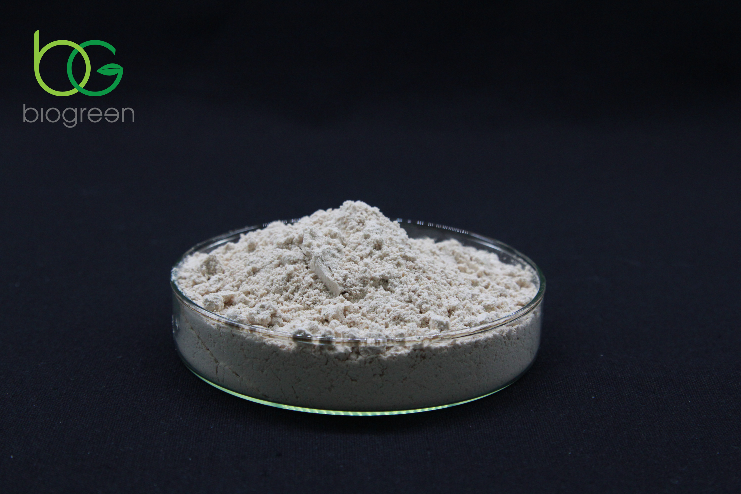 Bán Lumbrokinase chất lượng cao, hỗ trợ làm tan huyết khối