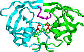 Bán nguyên liệu enzyme