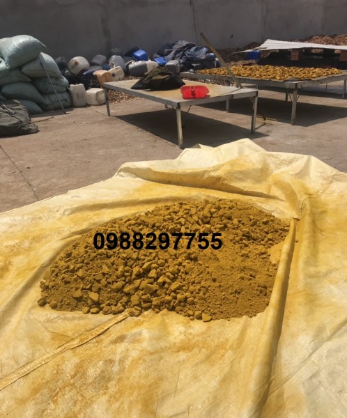 Berberin - Chiết suất từ cây Vàng Đắng