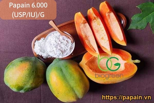 BIOGREEN chuyên cung cấp Enzyme Papain đa dạng hoạt lực