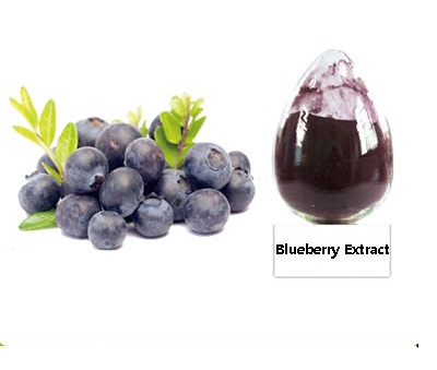 Blueberry Extract
