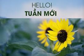 Cần 10 ds đại học có cchn 