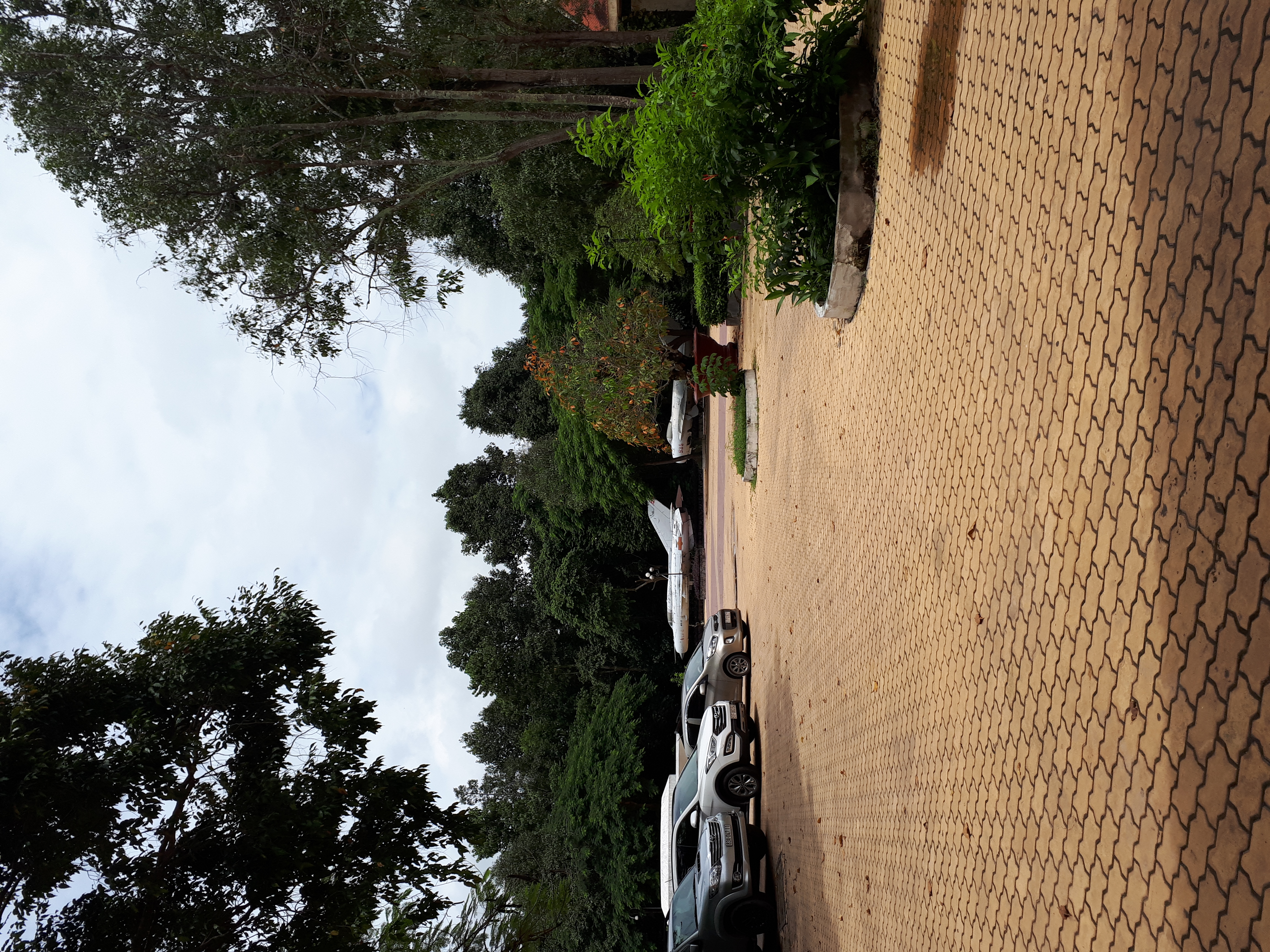 Cần thuê bằng dược đông y có CCHN