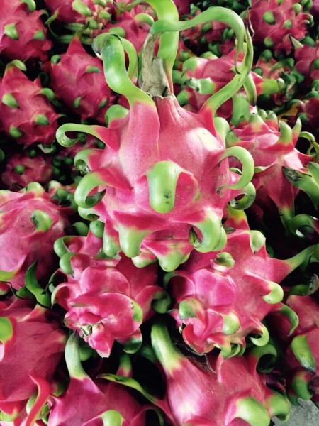 CCHN dược cần hợp tác