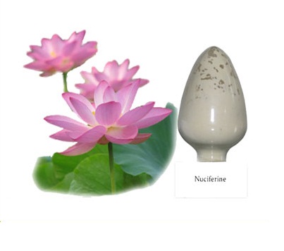 Chiết Xuất Lá Sen