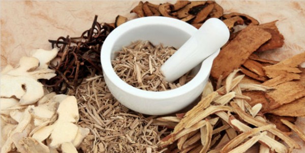 Cho thuê bằng dược sĩ 