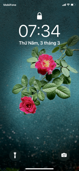 Chứng chỉ hành nghề Dược