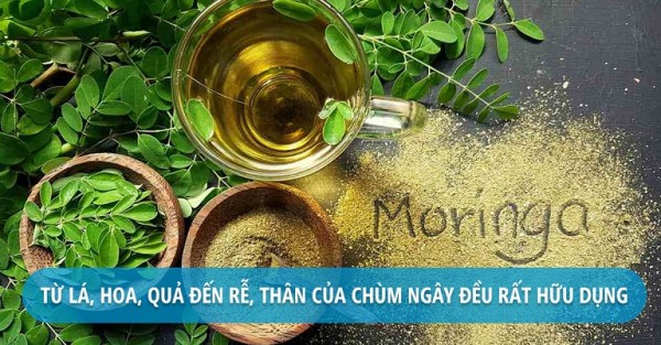 Cung cấp cao khô Chùm ngây tan hoàn toàn