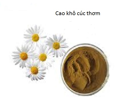 Cung cấp cao khô cúc thơm