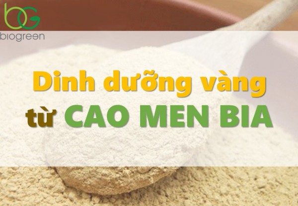 Cung cấp cao men bia Việt Nam, Pháp