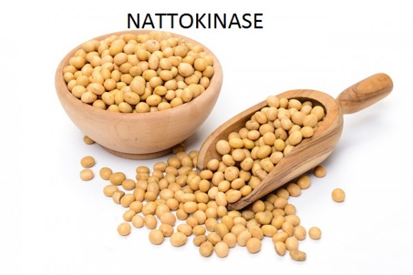 Cung cấp Nattokinase
