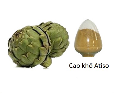 Cung cấp nguyên liệu cao khô atiso