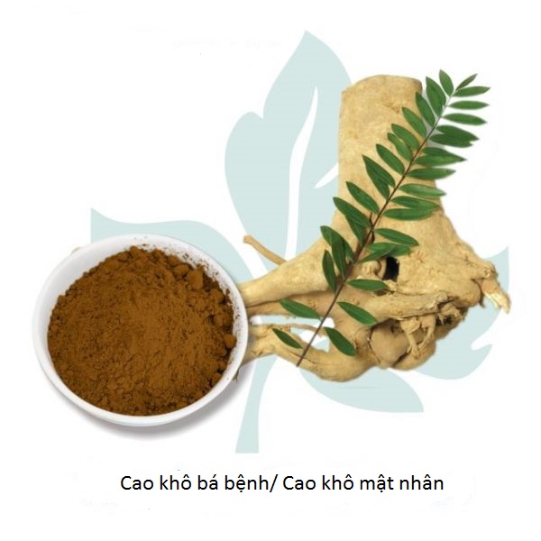 Cung cấp nguyên liệu cao khô bá bệnh