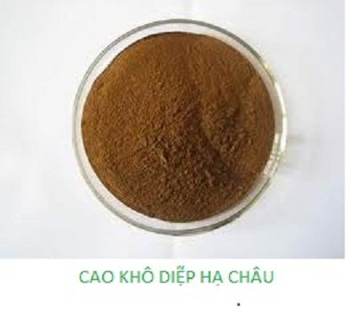 Cung cấp nguyên liệu cao khô diệp hạ châu