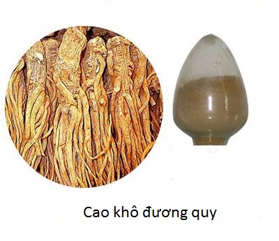 Cung cấp nguyên liệu Cao khô đương quy