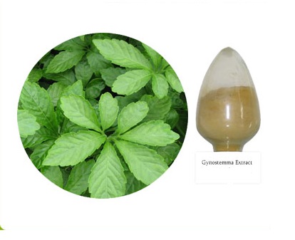 Cung cấp nguyên liệu cao khô giảo cổ lam