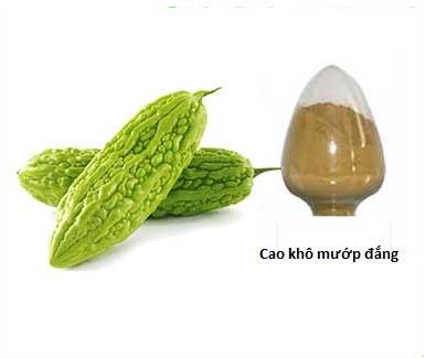 Cung cấp nguyên liệu cao khô mướp đắng