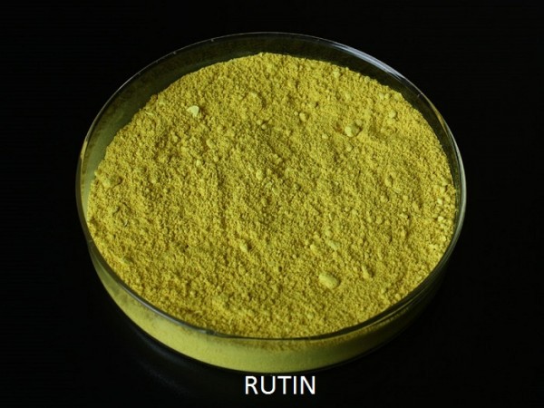 Cung cấp rutin 95%