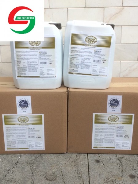 cung cấp yucca nguyen liệu mexico 