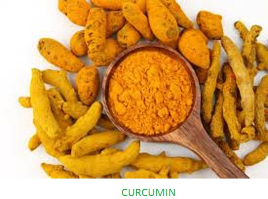 Curcumin Extract