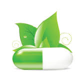 DẠY TƯ VẤN VÀ CẮT LIỀU THUỐC