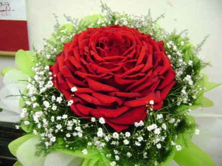 DS CẦN HỢP TÁC MỞ NHÀ THUỐC TẠI TPHCM