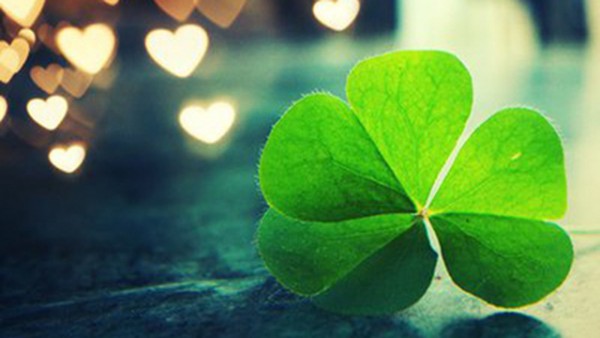 DSĐH CÓ CCHN do SYT TPHCM cấp cần hợp tác mở nhà thuốc hoặc công ty tại TPHCM