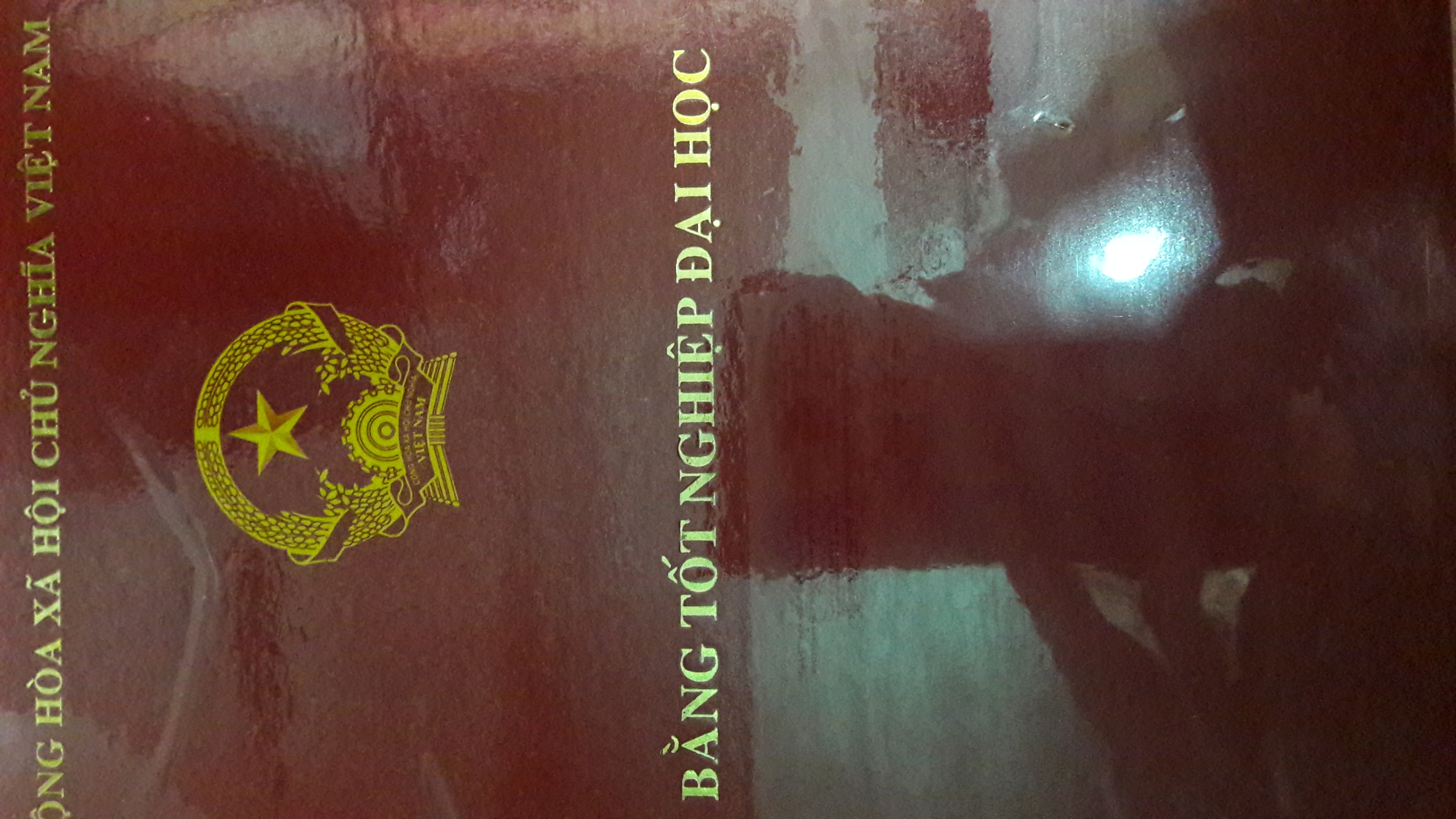 DSDH hợp tác mở nhà thuốc