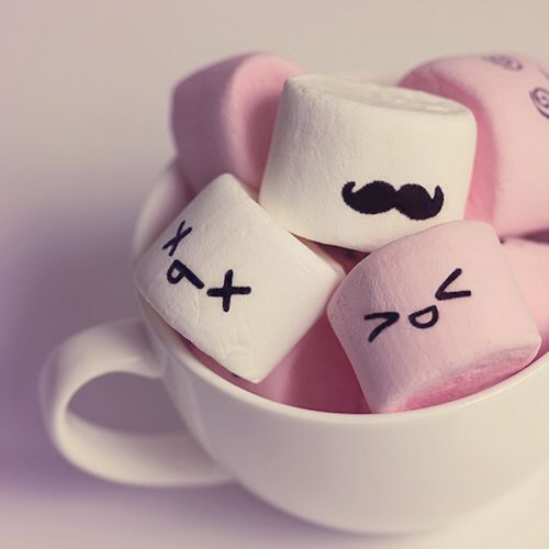 DSĐH hợp tác mở nhà thuốc