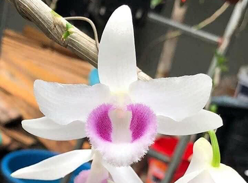 Dược sĩ cần hợp tác mở nhà thuốc - TP HCM