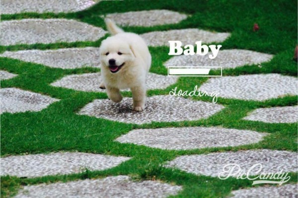 Dược sĩ có CCHN cần hợp tác nhà thuốc, công ty Dược