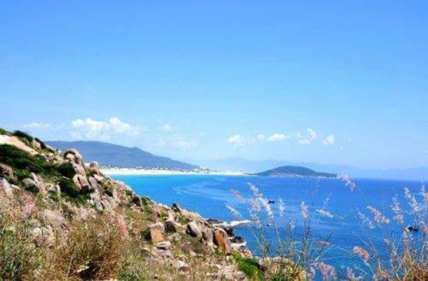 Dược sĩ có chứng chỉ hành nghề Dược