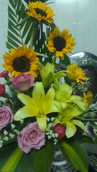 Dược sỹ có CCHN 5 năm