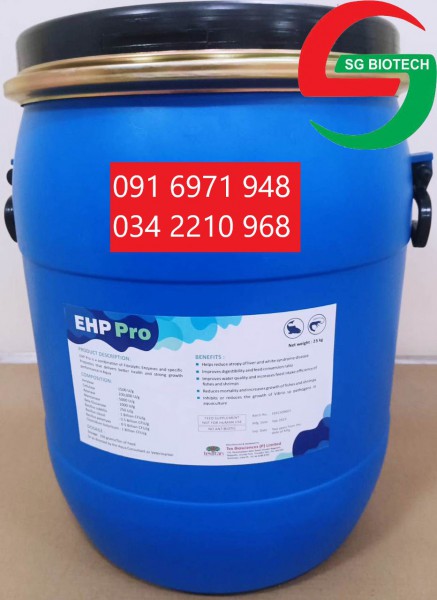 EHP Pro phòng ngừa hội chứng teo gan trên tôm