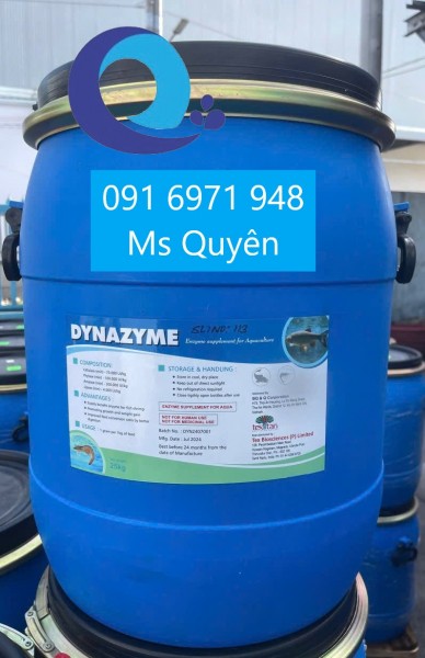 Enzyme tổng hợp tăng trọng cho tôm cá Dynazyme Ấn Độ