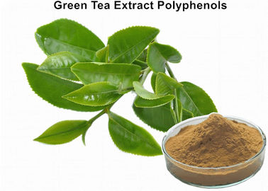 Green tea Extract