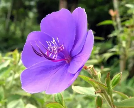 Hợp tác kinh doanh mở nhà thuốc