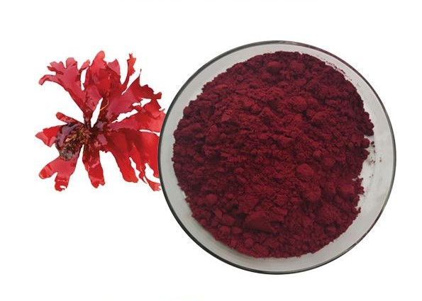 IBP cung cấp astaxanthin