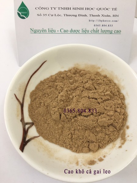 IBP cung cấp cao khô cà gai leo