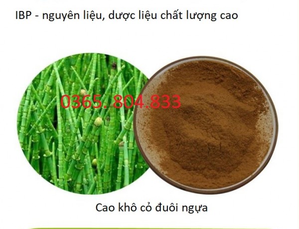 IBP cung cấp cao khô cỏ đuôi ngựa