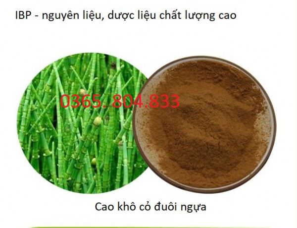 IBP cung cấp cao khô cỏ đuôi ngựa