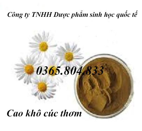 IBP cung cấp cao khô cúc thơm