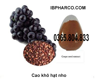IBP cung cấp cao khô hạt nho