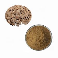 IBP cung cấp cao khô ngưu tất