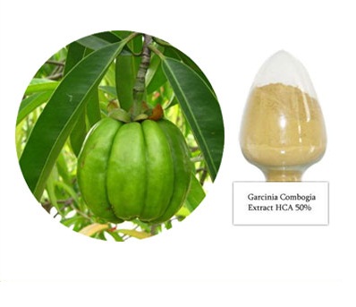 IBP cung cấp cao khô quả bứa