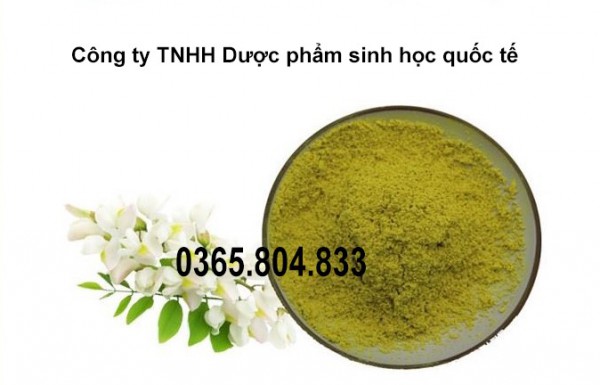 IBP cung cấp cao khô quercertine