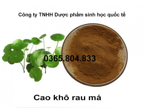 IBP cung cấp cao khô rau má