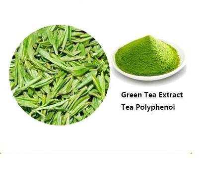 IBP cung cấp cao khô trà xanh