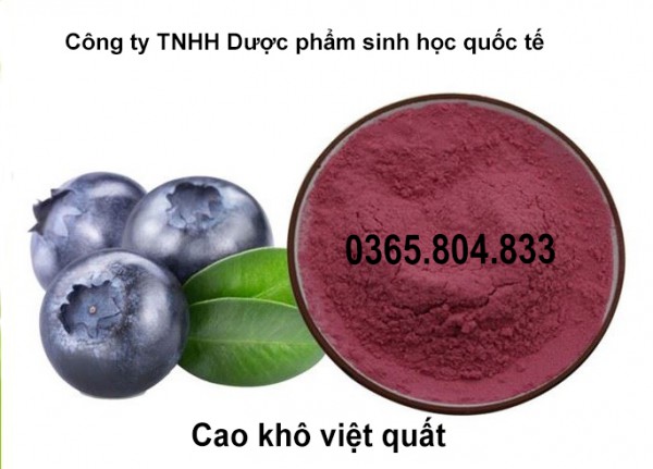 IBP cung cấp cao khô việt quất
