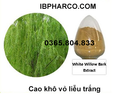 IBP cung cấp cao khô vỏ liễu trắng